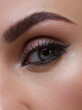 © evgeniyasht19 - Closeup female eyes with bright make-up, great shapes brows, extreme long eyelashes. Celebrate makeup, luxury eyeshadows. Macro of beautiful eye. Good vision