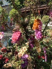 Poster - Fleurs décoratives du Wat Phrathat Doi Suthep à Chiang Mai, Thaïlande