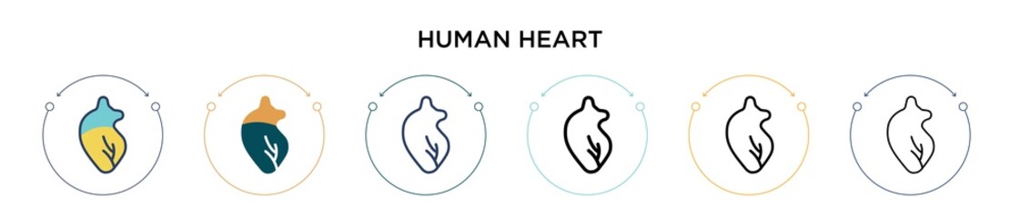 Wall Mural - Human heart icon in filled, thin line, outline and stroke style. Vector illustration of two colored and black human heart vector icons designs can be used for mobile, ui, web