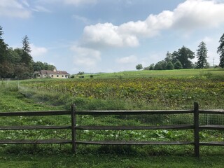 rural landscape with fence