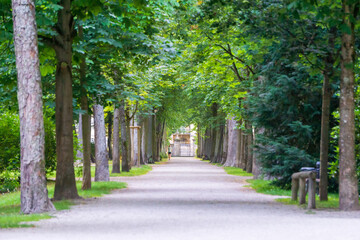  Frau läuft entlang einer Allee im Hofgarten Bayreuth. Tageslicht und grüne Blätter. 24.07.20 Bayreuth, Deutschland