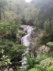 Sticker - Cascade dans la forêt à Cameron Highlands, Malaisie