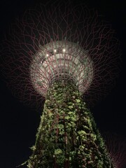 Wall Mural - Arbre artificiel de nuit, jardins de la Baie à Singapour