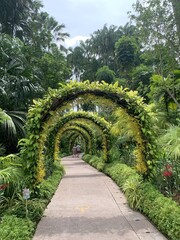 Poster - Arcades végétales du jardin botanique de Singapour