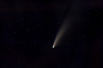 Wall Mural - Comet NEOWISE in starry night