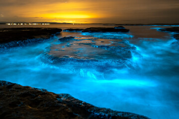 Wall Mural - Bioluminescence, Jervis Bay, Australia