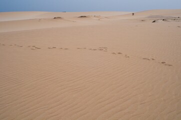 Desert footprint