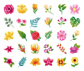 Sticker - bundle of beautiful flowers and leafs icons