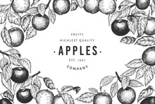 Apple Branches Design Template. Hand Drawn Vector Garden Fruit Illustration. Engraved Style Fruit Frame. Vintage Botanical Banner.