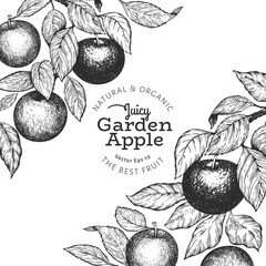 Apple branches design template. Hand drawn vector garden fruit illustration. Engraved style fruit frame. Vintage botanical banner.