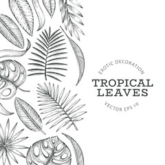 Wall Mural - Tropical plants banner design. Hand drawn tropical summer exotic leaves illustration. Jungle leaves, palm leaves engraved style. Vintage background design