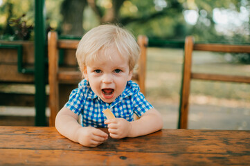 Wall Mural - Picture of little caucasian boy in blue summer clothes walks to the park in summer