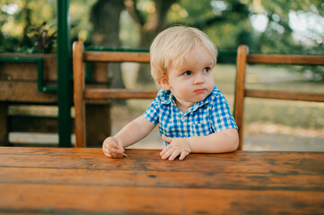 Wall Mural - Little cheerful caucasian boy in blue shirt and blue shorts goes for a walk in the park