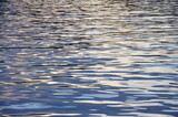 Fototapeta Kwiaty - ripples in water. water surface reflection