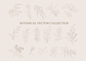 Botanical garden. Vector collection of hand drawn plant elements