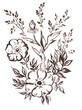 © Arina - Graphic Watercolor  floral illustration of a wild rose.