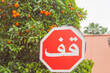 Africa, Morocco Stop Sign