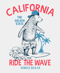 Wall Mural - Surfer bear vector illustration. California, Venice beach t-shirt graphic.