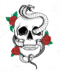 Rock and roll graphic design with skull, roses and snake illustration for t-shirt and other uses.