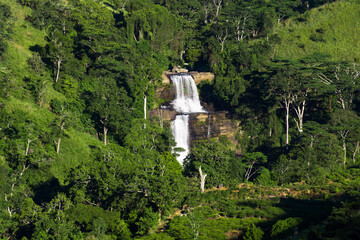 Poster - Thaliya Watuna Falls is situated in knuckles forest reserve in Kandy,Central province, Sri Lanka