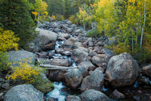 Boulder Creek With Aspen Trees Turing Color In The Autumn Season In Rocky Mountain National Park, Colorado