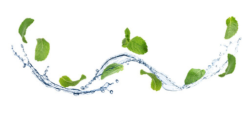 Set of flying green mint leaves with splash of water on white background. Banner design