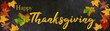 © Corri Seizinger - Happy Thanksgiving / autumn – Colorful leaves isolated on a black concrete texture – background panorama banner long
