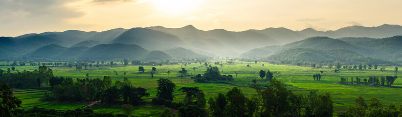 The beautiful panorama landscape of the Green rice fields the sunrise, The sun's rays through at the top of the hill  over the tree in the rice fields, Chiang Rai Northern  Thailand