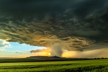 Wall Mural - Tornadic Cell over Grassy Field