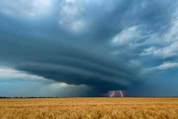 Wall Mural - Lightning from supercell