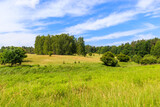 Fototapeta Sawanna - Green summer meadow and forest landscape in Wygryny village near lake Nidzkie, Mazury Lake District, Poland