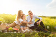 Cute family playing together on a picnic in meadow