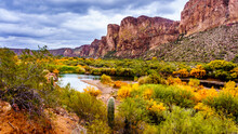 The Salt River And Surrounding Mountains With Fall Colored Desert Shrubs In Central Arizona, United States Of America