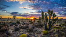 Desert Sunrise 