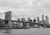Fototapeta  - NEW YORK CITY