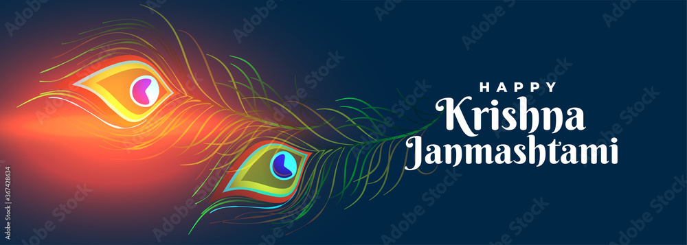 happy krishna janmashtami festival banner with peacock feathers - obrazy, fototapety, plakaty 
