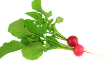 Fresh Red Radish With Green Leaves Isolated On White Background