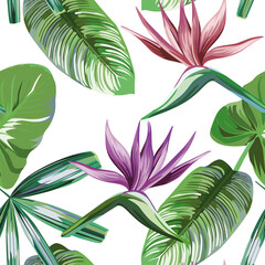 Wall Mural - Seamless vivid exotic pattern with tropical palm, banana leaves and bird of paradise, strelitzia flower on a white background green vector style. Hawaiian tropical natural floral wallpaper