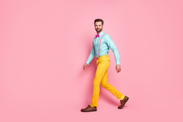 Poster - Full length body size profile side view of his he nice attractive elegant luxury brandy funky cheery brunet guy walking corporate event isolated over pink pastel color background