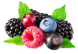 © Dmytro - mix of blueberry, blackberry, cranberry, raspberry with leaves isolated on white background