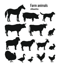 Farm Animals Silhouettes Set Of Horse, Pig, Dog, Bull, Cow, Cat, Ram, Sheep, Goat, Rabbit, Turkey, Goose, Duck, Rooster, Chicken. Vector Illustration