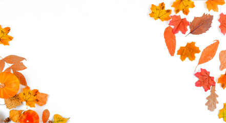 Wall Mural - autumn background with yellow leaves