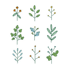 Wall Mural - Set of nine simple hand drawn floral branches, vector illustration