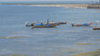 Fishermen's moorings on a backwater of the Bay of Bengal off the Tamil Nadu coast, India. The main catch in the inshore fishery is prawns