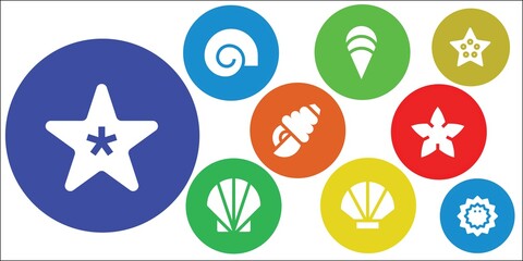 Wall Mural - Modern Simple Set of seashell Vector filled Icons