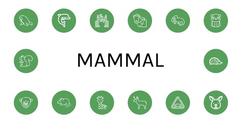 Canvas Print - Set of mammal icons