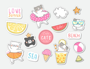 draw collection stickers cat in summer.