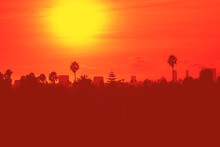 Sunset Over Los Angeles Skyline With Buildings And Palm Trees In California