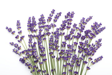 Wall Mural - Lavender.