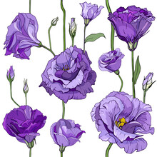 Seamless Floral Decorative Pattern With Violet Flowers And Buds. Eustoma, Lisiantus, Texas Bluebell, Prairie Tulip Gentian. Endless Spring Texture For Your Design, Fabrics, Decor.